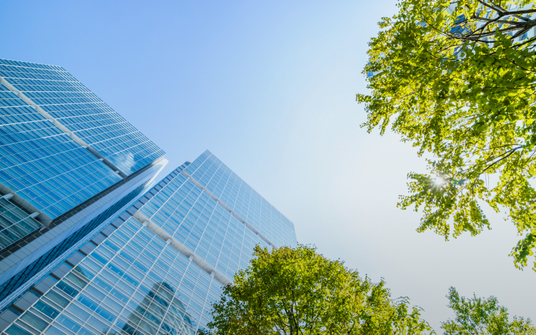 会社概要・沿革